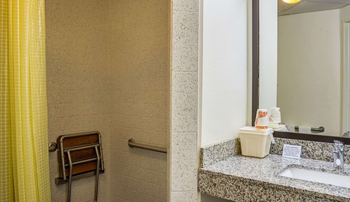Habitación, 1 cama de matrimonio grande, accesible para personas con discapacidad (Roll-In Shower)