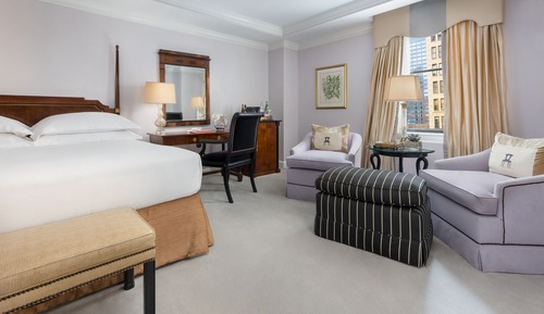 Estudio, 1 cama de matrimonio grande