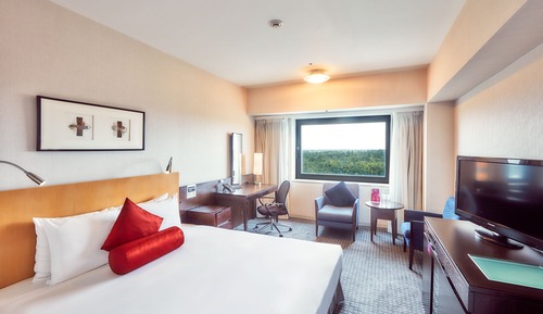 Habitación estándar, 1 cama de matrimonio grande (Airport View)