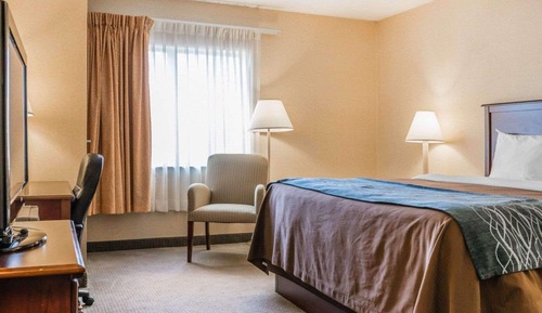 Habitación estándar, 1 cama de matrimonio grande, no fumadores