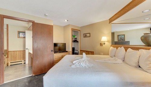 Suite, varias camas (some pet friendly)
