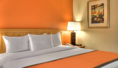 Habitación, 1 cama de matrimonio grande, accesible para personas con discapacidad, no fumadores
