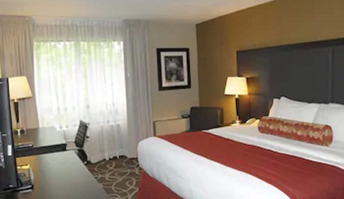 Habitación estándar, 1 cama de matrimonio grande, no fumadores