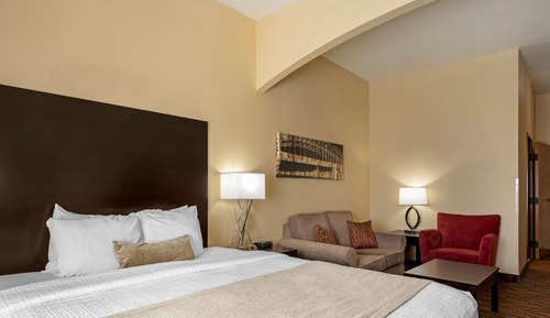 Habitación estándar, 1 cama de matrimonio grande, accesible para personas con discapacidad