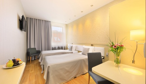 Habitación Deluxe con 1 cama doble o 2 individuales