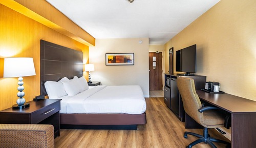 Habitación estándar, 1 cama de matrimonio grande con sofá cama, no fumadores (Dog Friendly)