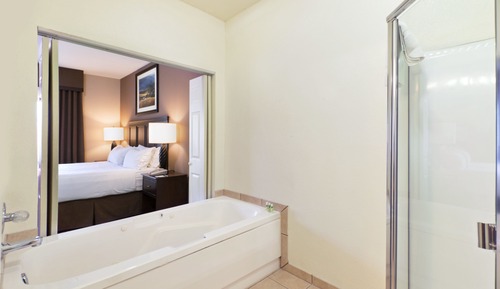 Habitación estándar, 1 cama de matrimonio grande (Walk-In Shower)