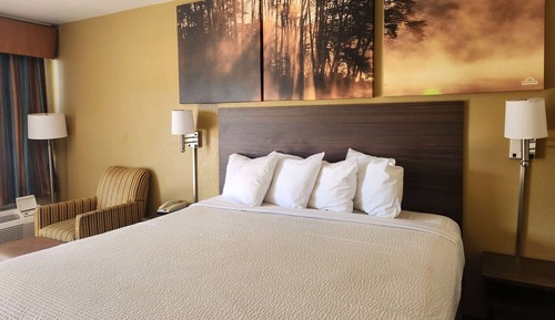 Habitación estándar, 1 cama de matrimonio grande, fumadores