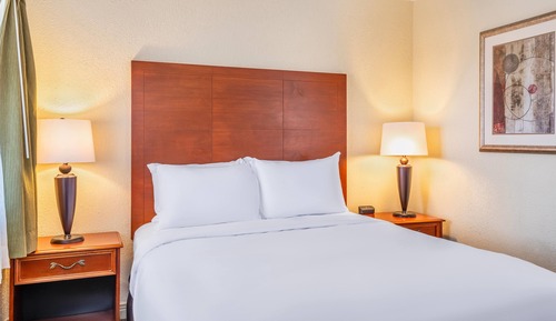 Suite, 1 cama de matrimonio, no fumadores (One-Bedroom)