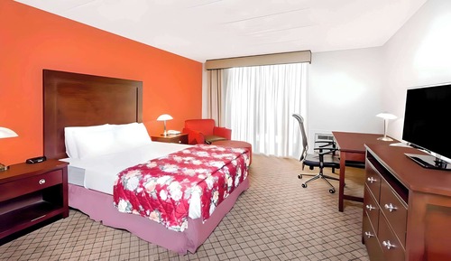 Habitación estándar, 1 cama de matrimonio grande, no fumadores