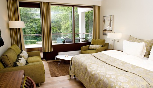 Habitación estándar, terraza, vistas al parque