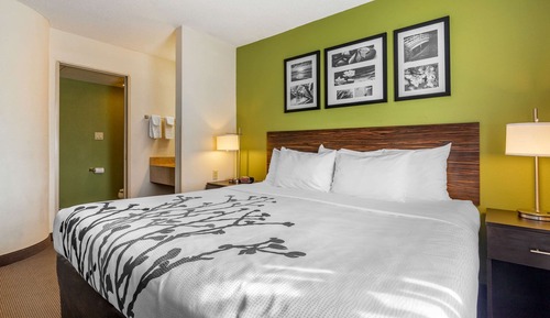 Habitación estándar, 1 cama de matrimonio grande, no fumadores
