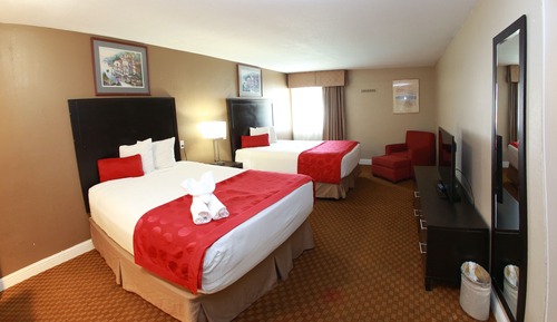 Suite, varias camas, no fumadores (One-Bedroom)