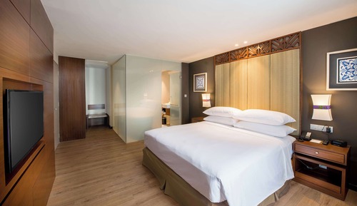 Habitación individual presidencial, 1 cama de matrimonio grande, terraza