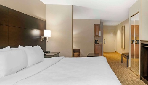 Suite, 1 cama de matrimonio grande con sofá cama, no fumadores