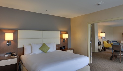 Suite presidencial, 1 cama de matrimonio grande con sofá cama
