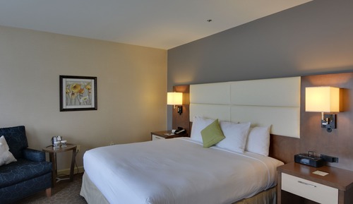 Suite Premium, 1 cama de matrimonio grande con sofá cama