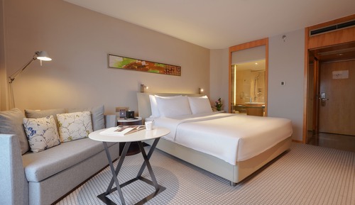 Habitación Deluxe, vistas a la ciudad