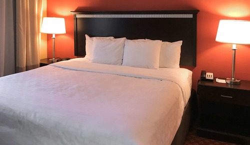 Habitación estándar, 1 cama de matrimonio grande, no fumadores