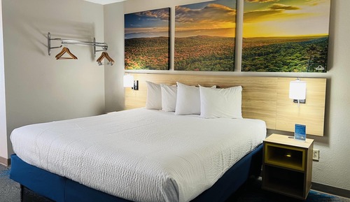 Habitación estándar, 1 cama de matrimonio grande
