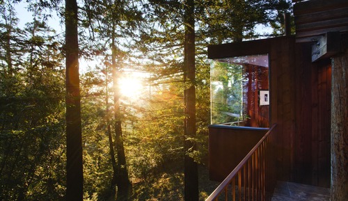 Casa en un árbol