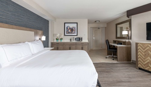 Habitación Deluxe, 1 cama de matrimonio grande, frigorífico