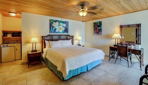 Habitación individual estándar, 1 cama de matrimonio grande