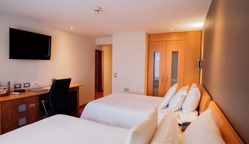 Habitación ejecutiva con 2 camas individuales
