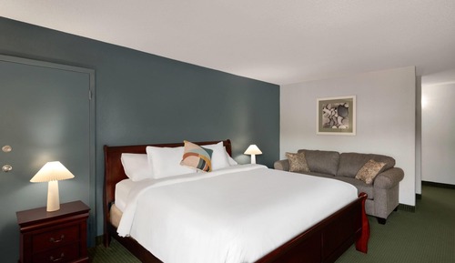 Suite, 1 cama de matrimonio grande, no fumadores (One-Bedroom)