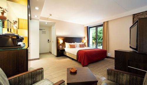 Habitación ejecutiva, 1 cama de matrimonio grande