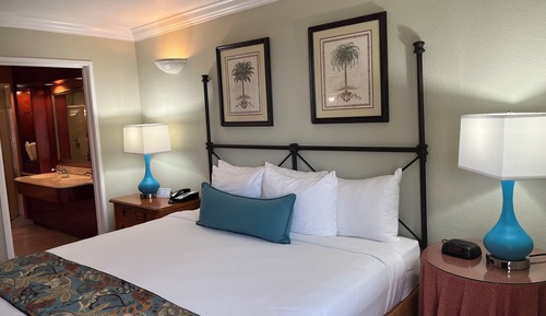 Suite Deluxe, 1 habitación, vistas al mar