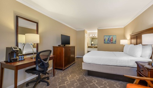 Habitación estándar, 1 cama de matrimonio grande, no fumadores, frigorífico y microondas
