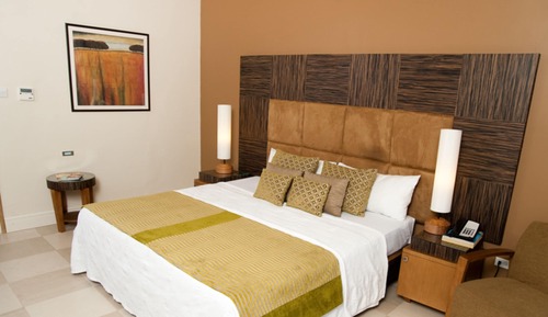 Habitación estándar, 1 cama de matrimonio grande (Garden or Courtyard)