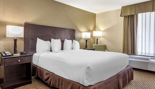 Habitación estándar, 1 cama de matrimonio grande, no fumadores, frigorífico y microondas