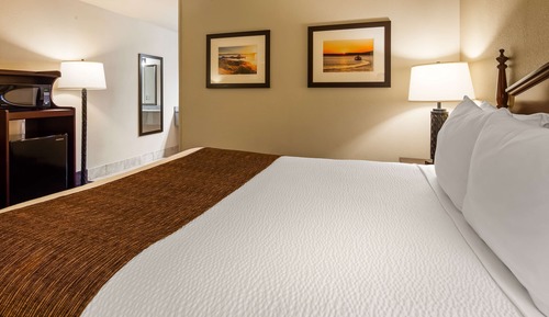 Habitación estándar, 1 cama de matrimonio, no fumadores, frigorífico