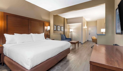 1 King Bed, Suite with Sofabed, Nonsmoking, Accessible