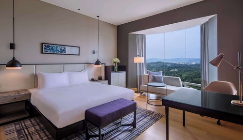 King Accessible Room Lake View
