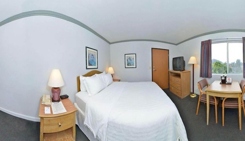 Habitación estándar, 1 cama de matrimonio grande