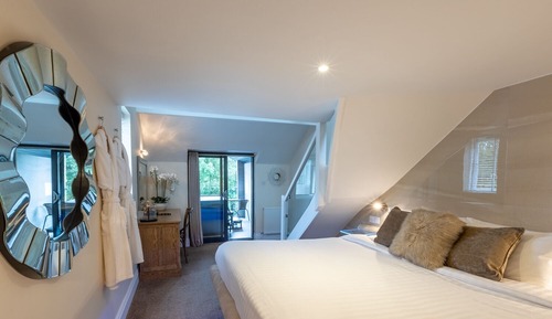 Suite (Tree Top)