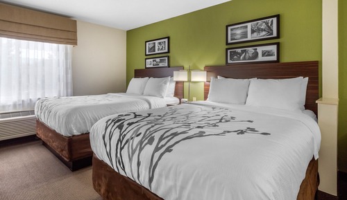 Suite, varias camas, no fumadores