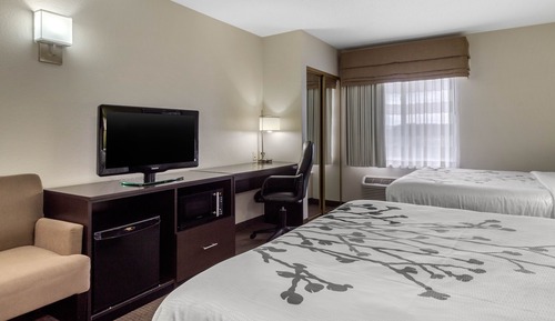 Habitación estándar, 2 camas de matrimonio