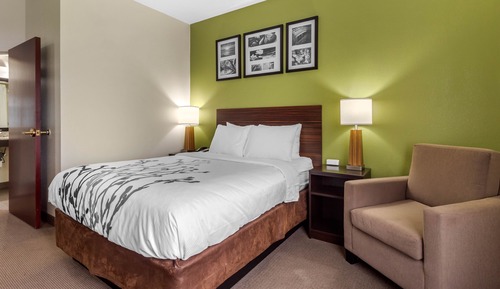 Habitación, 1 cama de matrimonio, accesible para personas con discapacidad, no fumadores