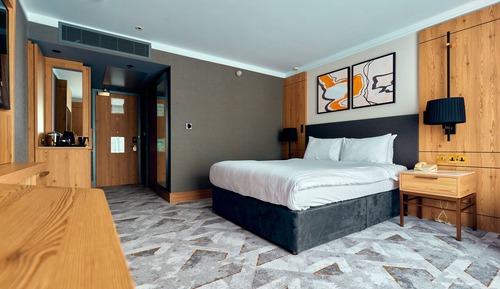 Habitación estándar, 1 cama doble