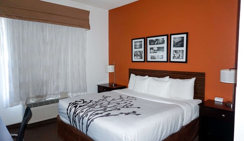 Habitación estándar, 1 cama de matrimonio grande, no fumadores