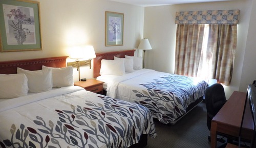 Suite, 2 camas de matrimonio, no fumadores