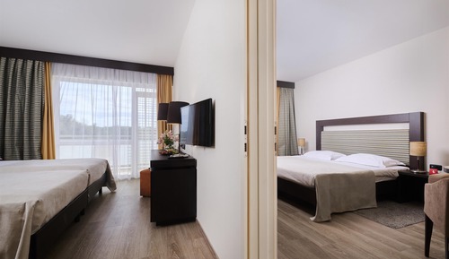 Habitación clásica, balcón (Park side - connected)