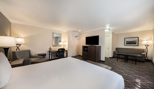 Suite, 1 cama de matrimonio grande, no fumadores (with Single Sofabed;Larger Room)