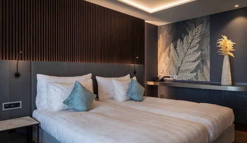 Junior Suite for 1 Person