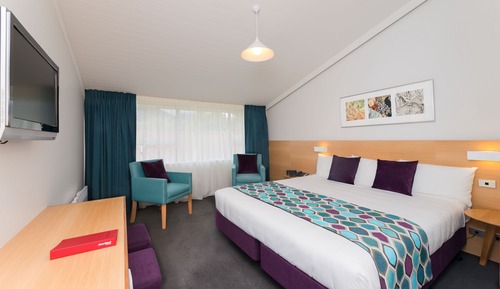 Habitación estándar, 1 cama de matrimonio grande