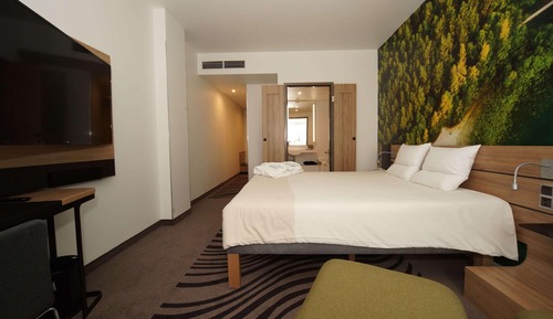 Habitación ejecutiva, 1 cama de matrimonio grande